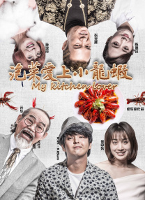 特种兵之火凤凰高清免费观看